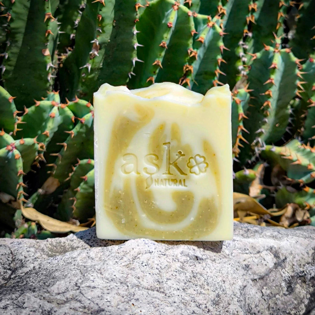 Aloe Vera Seife - handgemachte Naturseife mit Aloe Vera - beruhigende Pflege für empfindliche und trockene Haut.