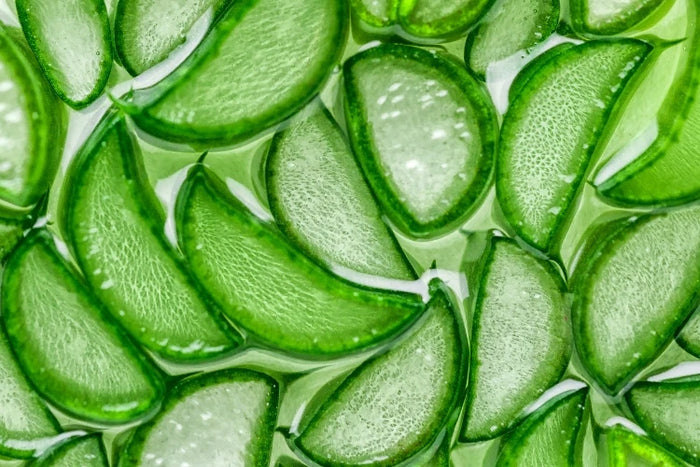 Frisches Aloe-Vera-Gel als feuchtigkeitsspendender Inhaltsstoff der Haarseife von ASK Natural – beruhigt die Kopfhaut und verleiht Glanz.