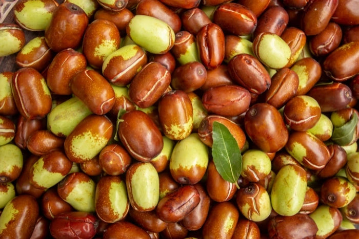 Jojobasamen – pflegender Bestandteil der natürlichen Haarseife von ASK Natural. Unterstützt Feuchtigkeit und schützt das Haar vor dem Austrocknen.