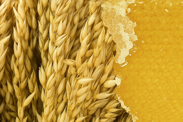 Hafer und Honig – pflegende Kombination natürlicher Inhaltsstoffe in der ASK Natural Hafer-Honig-Seife. Beruhigend, nährend und feuchtigkeitsspendend.