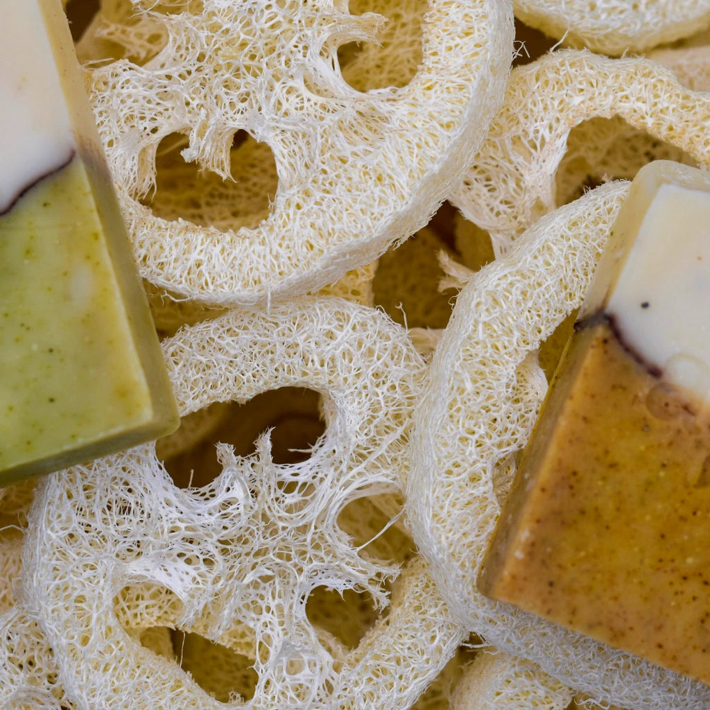 Luffa-Scheiben als natürliche Seifenablage oder Peeling-Schwamm – biologisch abbaubar & kompostierbar.