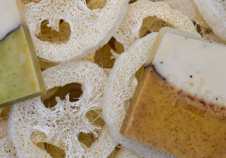 <h2>Warum Luffa statt Plastik?</h2>