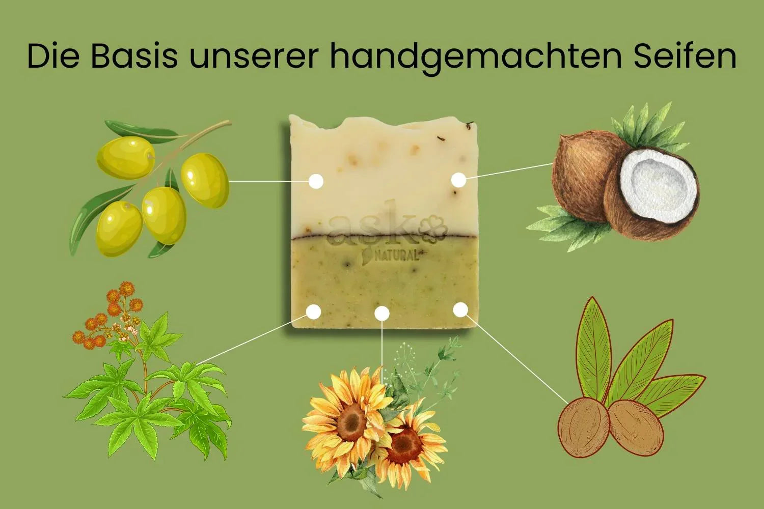 Die Basis Inhaltstoffe unserer handgemachten Naturseifen. Sonnenblumenoel, Kokosnussoel, Arganoel, Rizinusoel, Shebutter