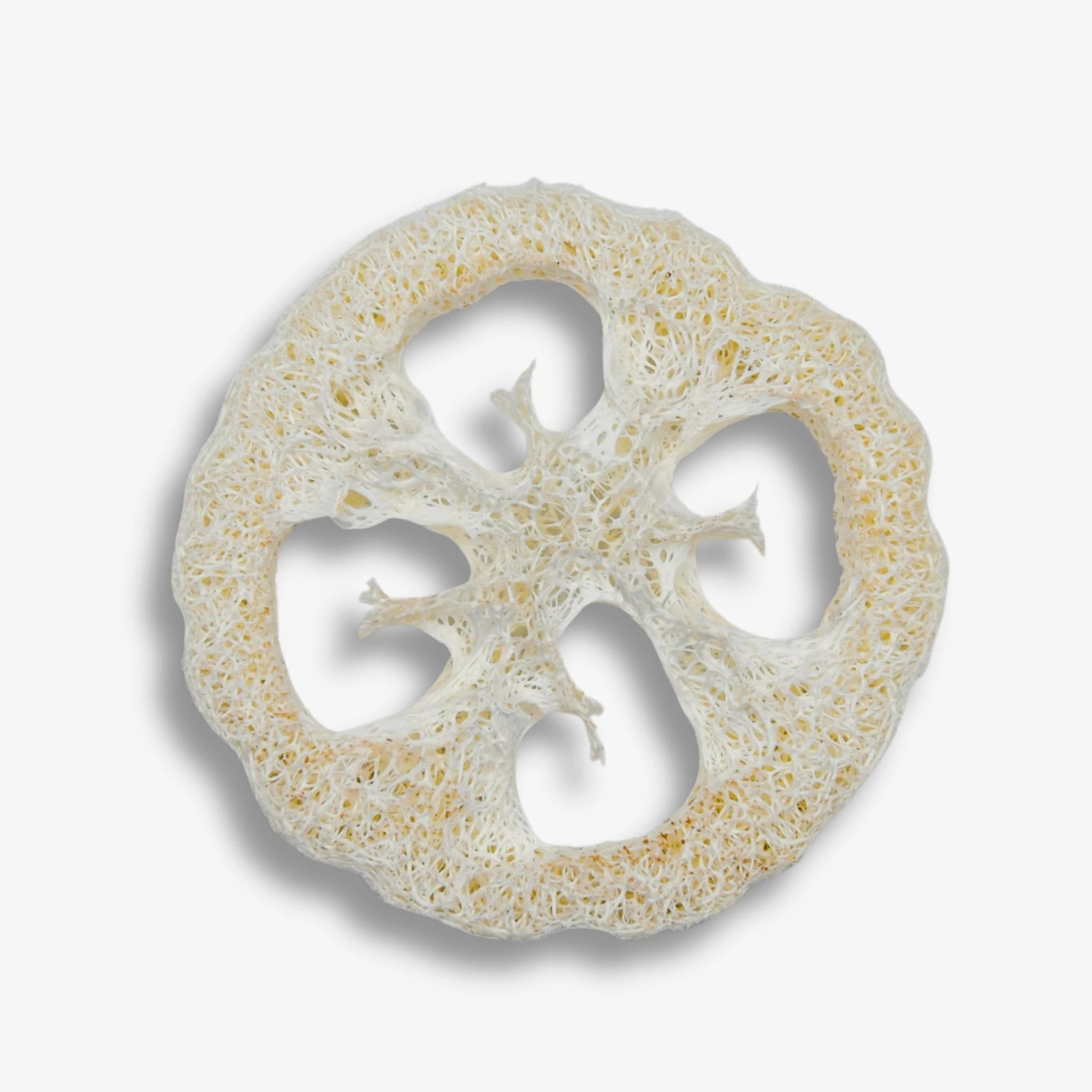 Die Luffa-Scheibe eignet sich perfekt als natürliche Seifenablage – plastikfrei, biologisch abbaubar & kompostierbar. Der Luffa-Schwamm erhöht die Lebensdauer deiner Naturseife.