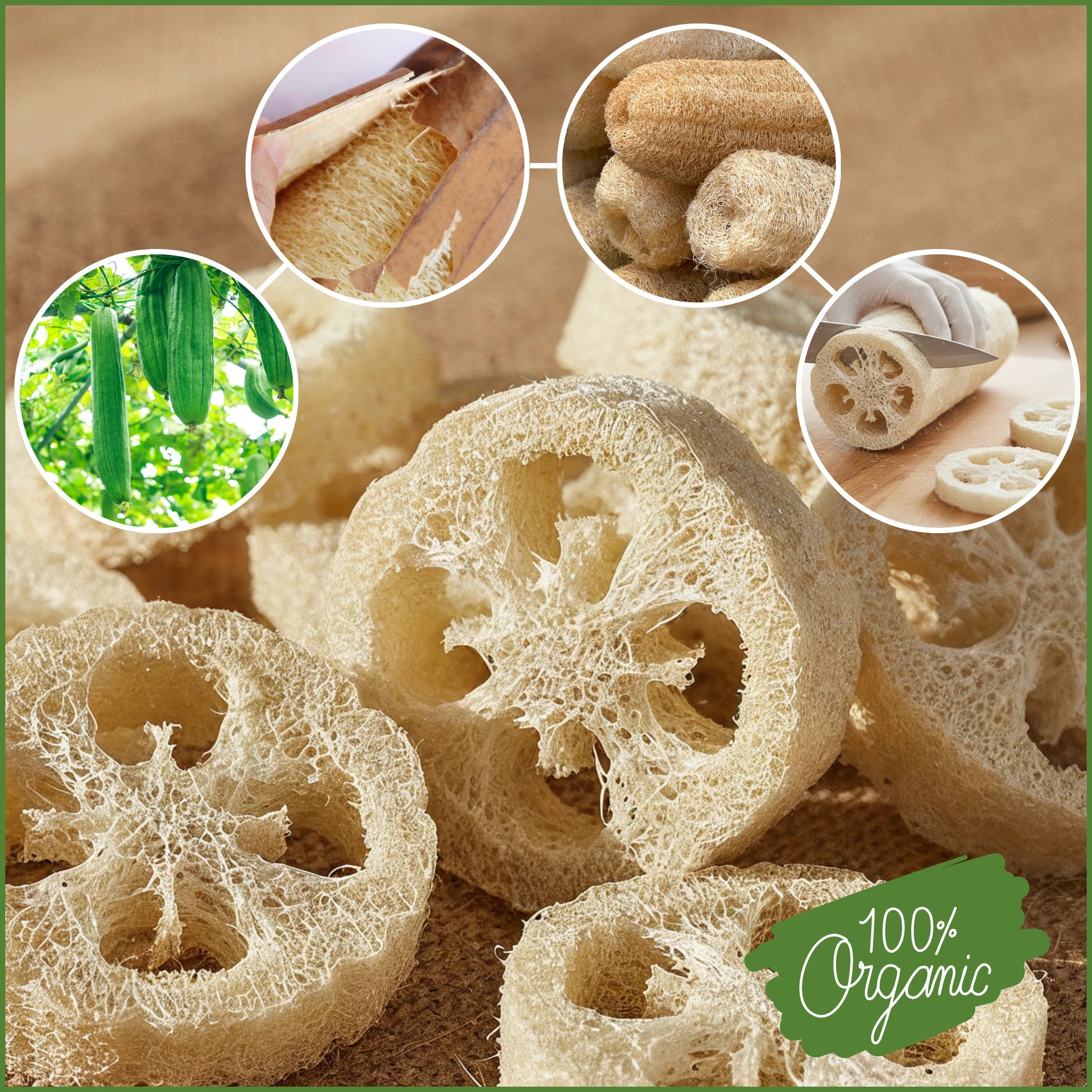 Luffa-Scheibe - ASK Natural