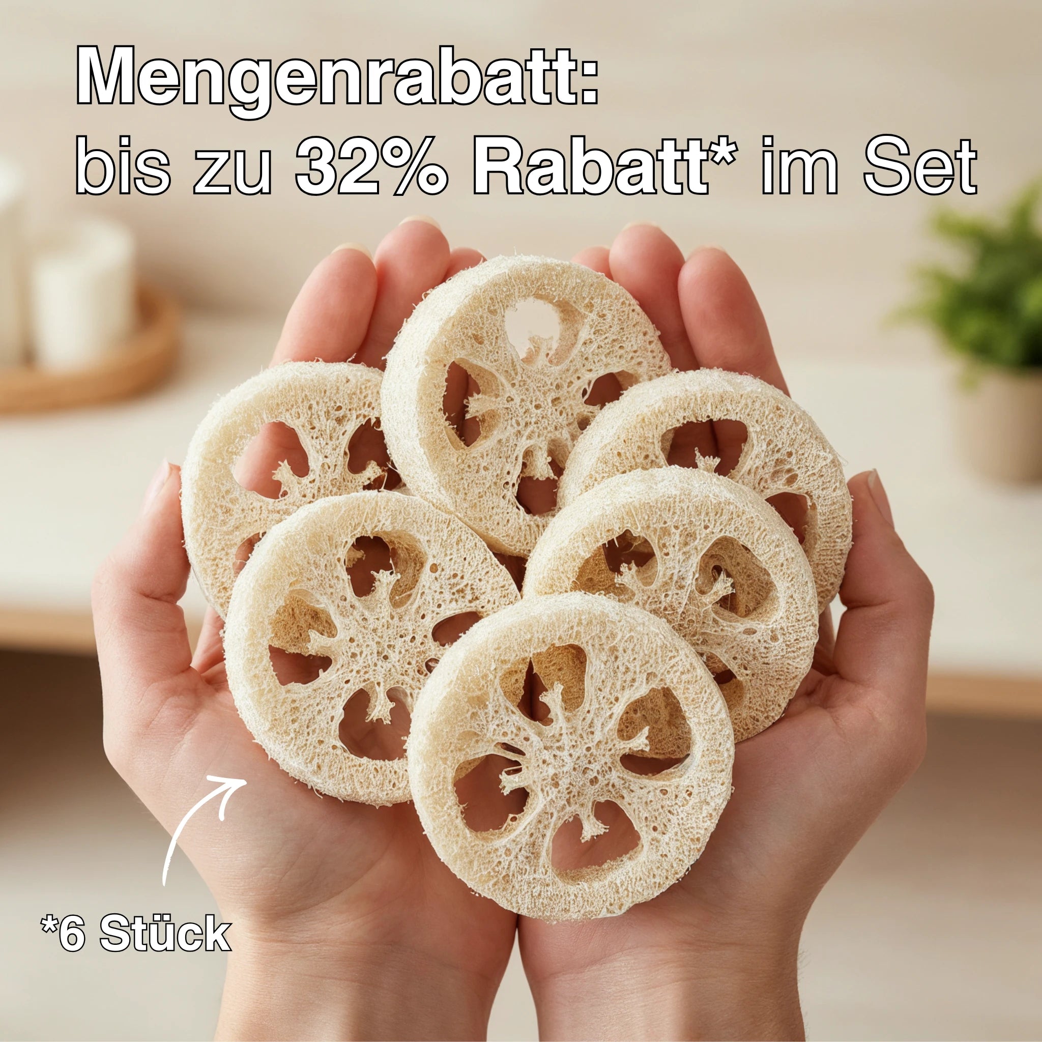 Luffa-Scheibe - ASK Natural