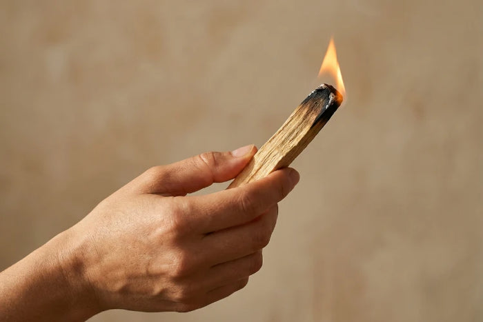 Palo Santo Stick mit kleiner Flamme beim Anzünden in warmem Licht.