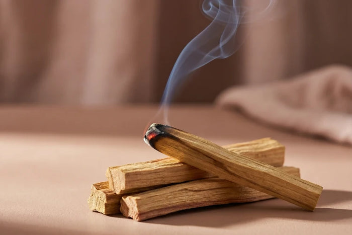 Glimmende Spitze eines Palo Santo Sticks direkt nach dem Auspusten der Flamme.