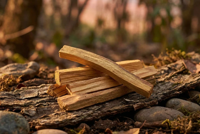 Palo Santo Holz aus Peru auf natürlicher Oberfläche als Symbol für Herkunft und Nachhaltigkeit.